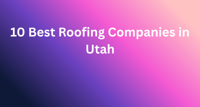 10 Best Roofing Companies in Atlanta -Top Picks for 2026