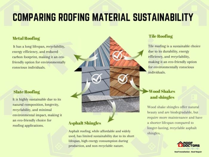 A Closer Look at Sustainable Roofing Practices - Roof Doctors
