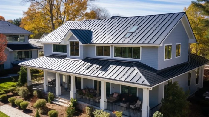 Ultimate Standing Seam Metal Roof Price Guide 2025: Uncover The Cost To ...