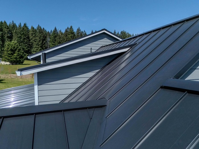 Black Standing Seam Metal Roof Price | The Tube