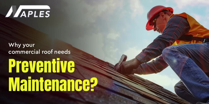 Preventative Roof Maintenance Services by Naples Roofing