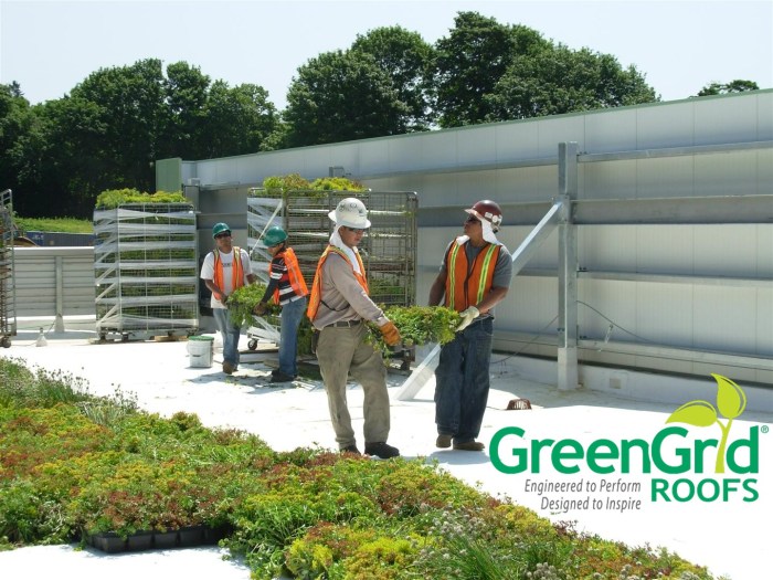 Comprehensive Guide to Green Roof Installation: Essential Steps and ...