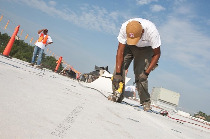 Hire a Roofing Company Who Installs the Top Roofing Services in the ...