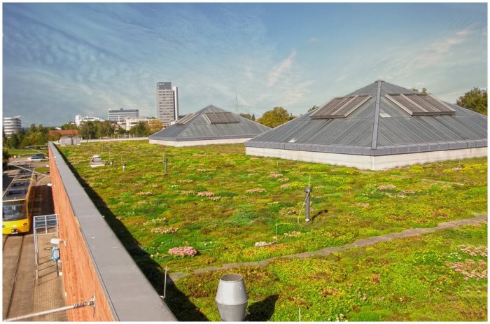 Photos - Green Roof Technology