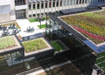 Green Roofs | Roof 1 Consultants
