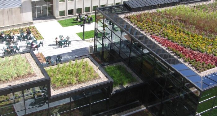 Green Roofs | Roof 1 Consultants