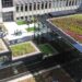 Green Roofs | Roof 1 Consultants