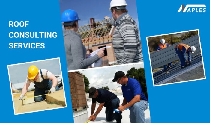Roof Consulting Services by Naples Roofing