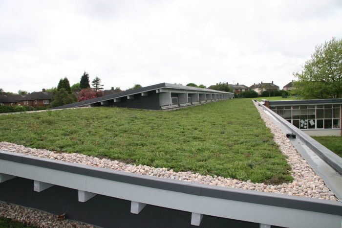 Green Roofing – Bowmarsh Roofing