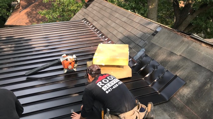 About – The Roof Service
