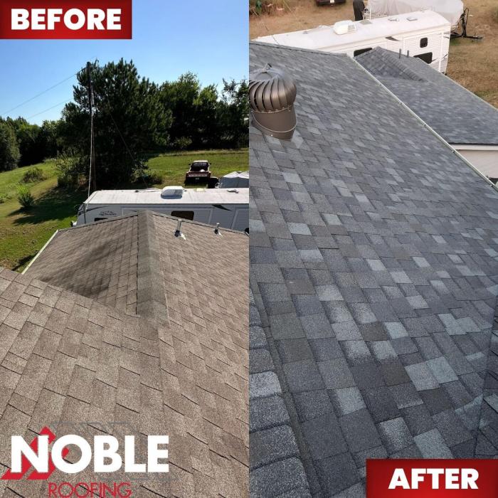 Asphalt Roof Repair – Leon's Toolbox