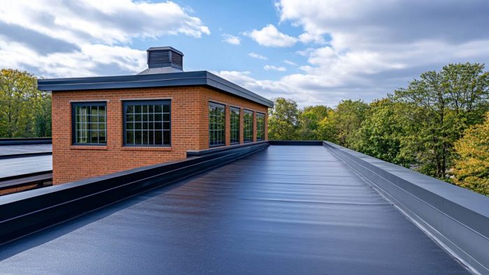 Best Flat Roof Systems for Commercial Buildings (2024 Guide)