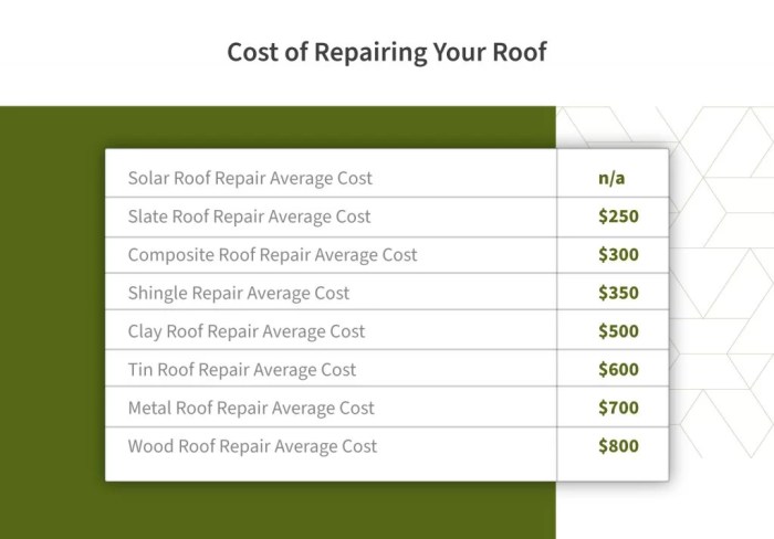 Roof Repair Cost Guide (2024 Update) | Roof Maxx